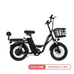 [레이윙] 캐리 미 전기자전거 10.4A (블랙)