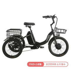 [레이윙] 캐리 이지 접이식 전기자전거 15A (블랙)