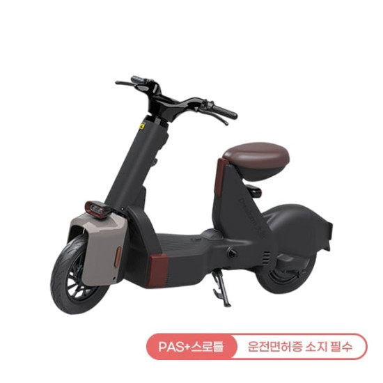 [레이윙] 타입1 전동스쿠터 24A (예토프)