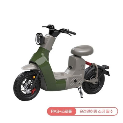 타입2 전동스쿠터 TYPE 2 24A 그린 전기스쿠터렌탈